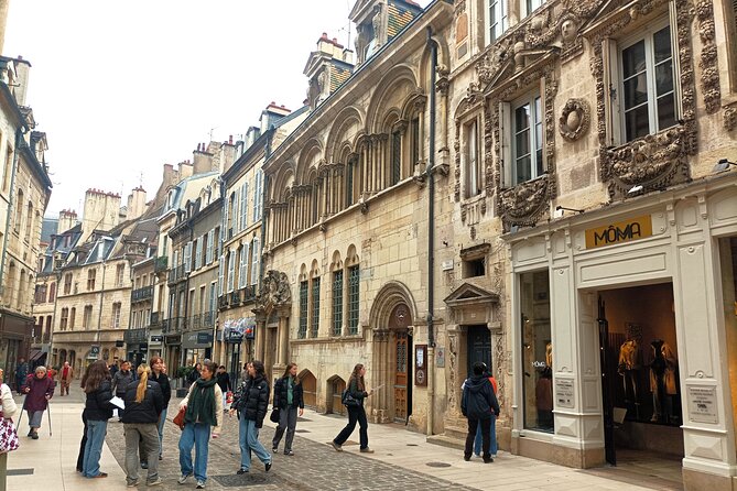 Guided tour of Dijon with your private professional guide! - Who Should Book This Tour?