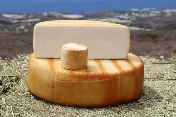 Guided Tour of Montesdeoca Cheese Factory with Cheese Tasting - Authenticity and Reviews: What Travelers Say