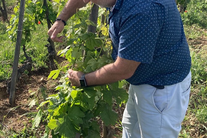 Guided Tour of the Coteaux Côte Rôtie for Parents and Children Duos - Frequently Asked Questions