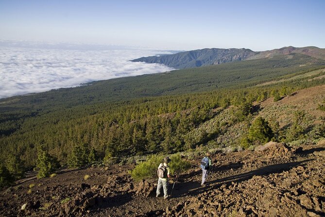 Guided Tour to Teide National Park in Tenerife - The Sum Up