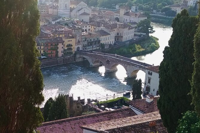 Guided Walking Tour on Verona Hillside - Who Will Love This Tour?
