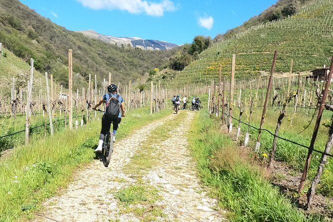 Half-Day E-Bike Tour in Prosecco Hills with Prosecco Tasting - The Experience from a Traveler’s Perspective