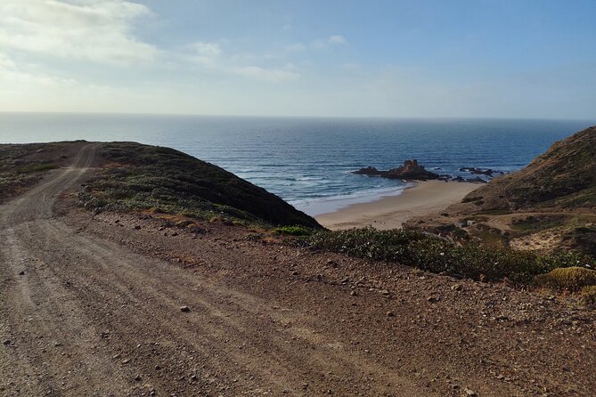 Half Day Nature Walk and Picnic at West Coast Algarve - The Sum Up