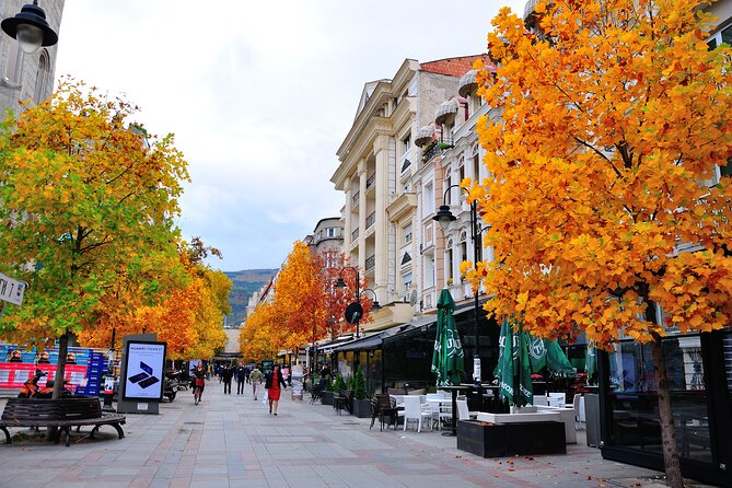 Half Day Walking Tour of Old and New Skopje - Practical Details and What To Expect