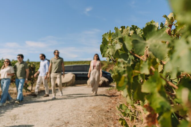 Half Day Wine Tour Around Evora - Practical Tips for Booking and Making the Most of It