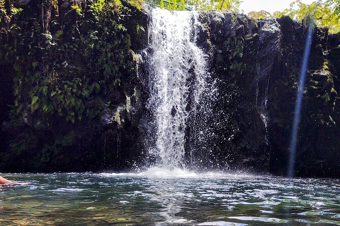 Halfway to Hana Private Tour Maui BlackBeach Waterfalls Turtles - Who This Tour Is Best For