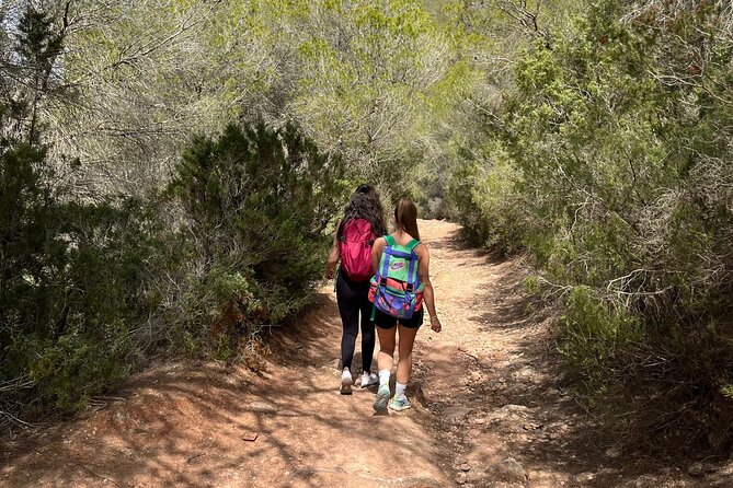 Hiking guide tours in Ibiza - Explore stunning views with us! IHL - The Sum Up: Is This Tour Right for You?