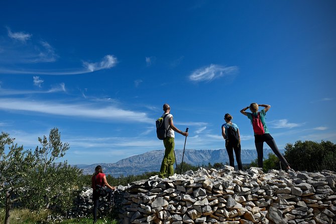Hiking tour Vidova gora and visiting Museum of olive oil - Logistics and Practicalities