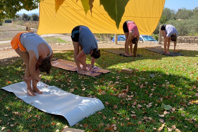 Holistic Private Yoga and Meditation Retreat in Mallorca - Practical Details and Value