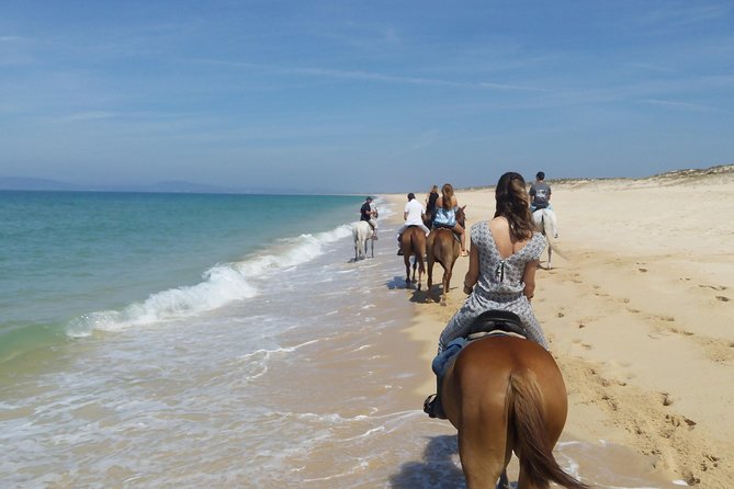 Horse Riding on the Beach Tour - What’s Included and What’s Not