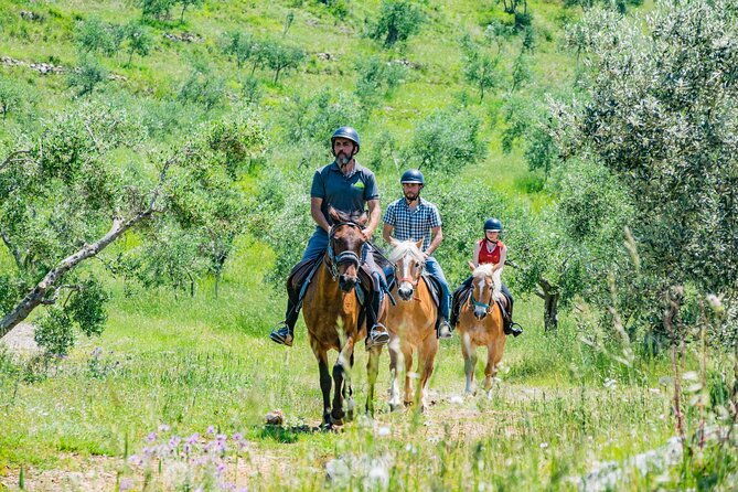 Horseback riding and aperitif 2 hours for beginners - Authentic Experiences Showcased by Real Reviews