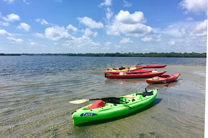 Indian River Lagoon Preserve Kayak Tour - The Sum Up