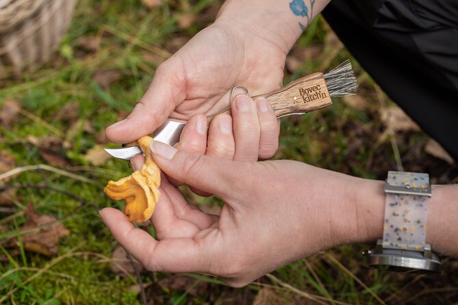 It Smells Like Mushrooms - The Detailed Itinerary
