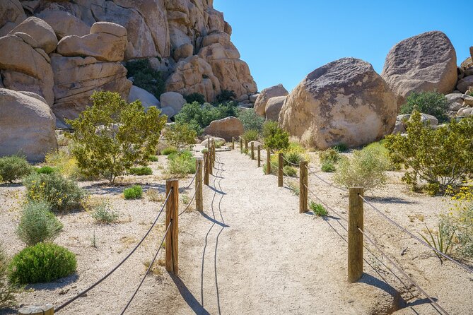 Joshua Tree's Hidden Valley Self-Guided Walking Tour - Who Will Love This Tour?