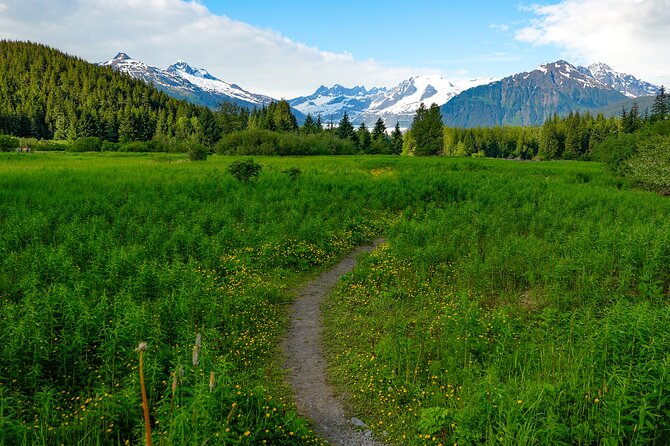 Juneau Highlights and Mendenhall Glacier Tour - Transportation and Group Size