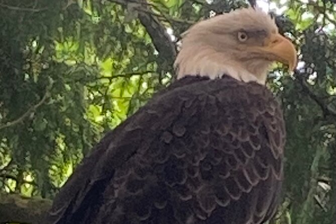 Ketchikan Alaska private tour - FAQs About the Ketchikan Private Tour