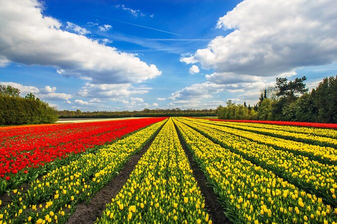 Keukenhof Tulip Garden Tour - The Sum Up