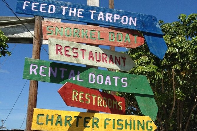 Key Largo Coral Reef Park and Sunset Celebration - Authentic Experiences from Traveler Feedback