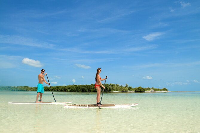 Key West Island Eco Tour with Transportation from Miami - Who Will Love This Tour?