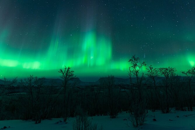 Kiruna Northern Lights Tour with Photographer - Final Thoughts
