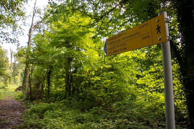 Lagodekhi - A day hiking from Tbilisi - Who Will Love This Tour?
