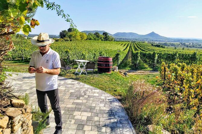 Lake Balaton private wine tasting and sightseeing from Budapest - Authentic Experiences and What Travelers Say