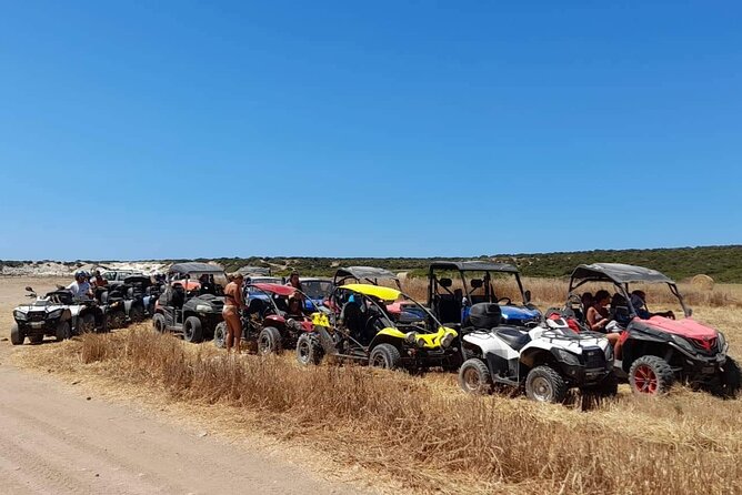 Lara Bay & Adonis Falls Quad & Buggy Tour - Practical Considerations
