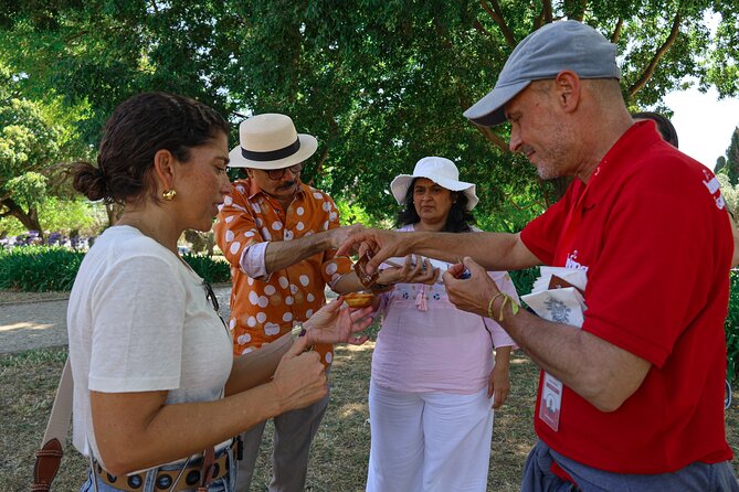 Lisbon and Belém Half Day Small Group Experience Tour - Final Thoughts: Who Is This Tour Best For?