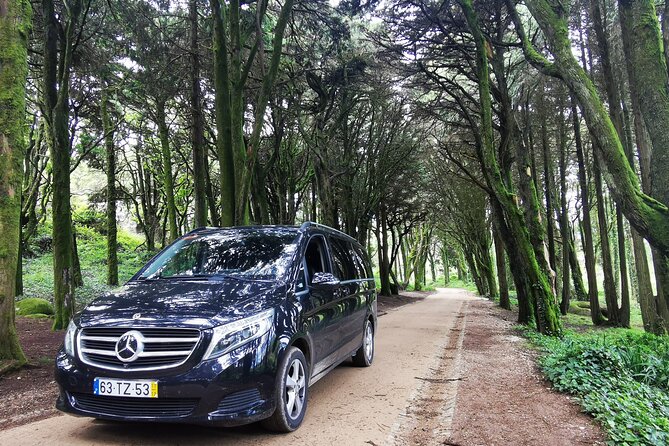 Lisbon to Seville private transfer with stops in Algarve - Who Will Love This Experience?