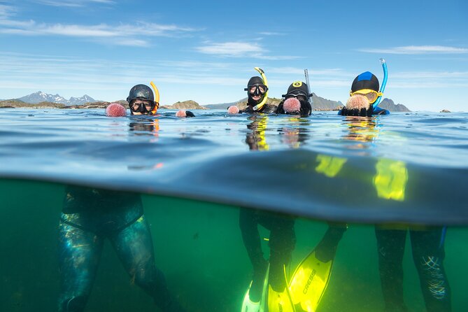 Lofoten Grand Canyon Snorkeling Tour - FAQ