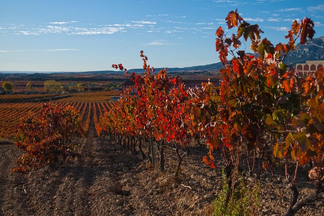 Luxury La Rioja Wineries Private Tour - Final Thoughts: Who Is This Tour Best For?