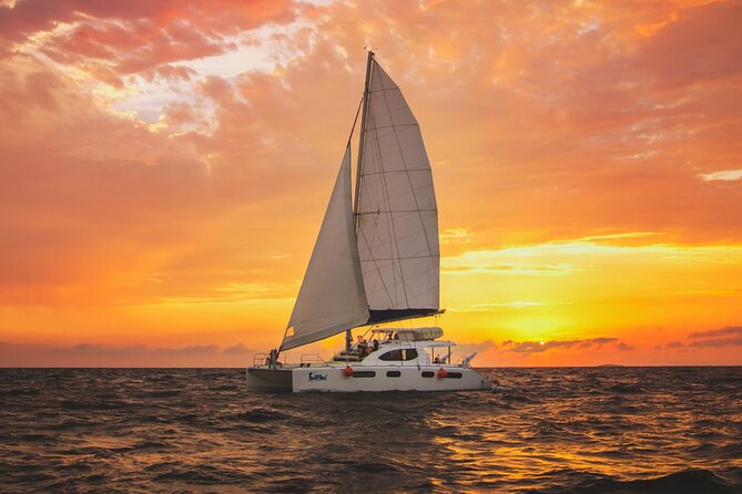 Luxury Sunset Sailing Cruise in Cancun with Light Dinner and Open Bar - Authentic Experiences & Guest Insights