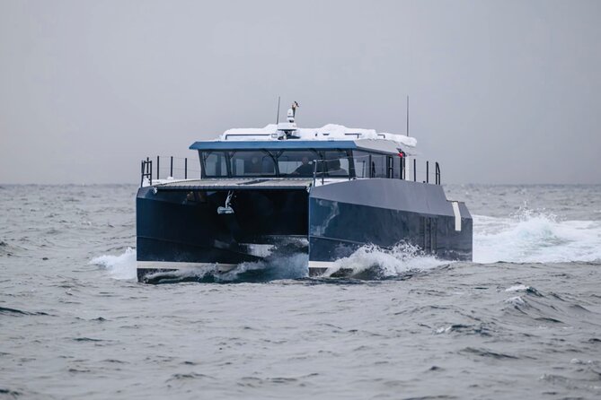 Luxury Whale Watching From Tromso - Small group and local guide - The Sum Up: Who Should Consider This Tour?