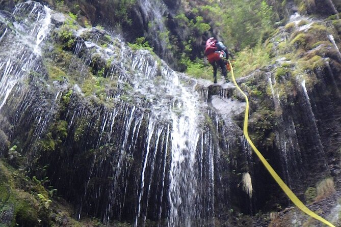 Madeira East Island Special & Levada Walking Tour with Meal and Drinks - Who Is This Tour Best For?