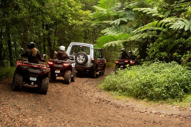 Madeira Private Off-road Quad Bike Experience - Who Will Love This Tour?