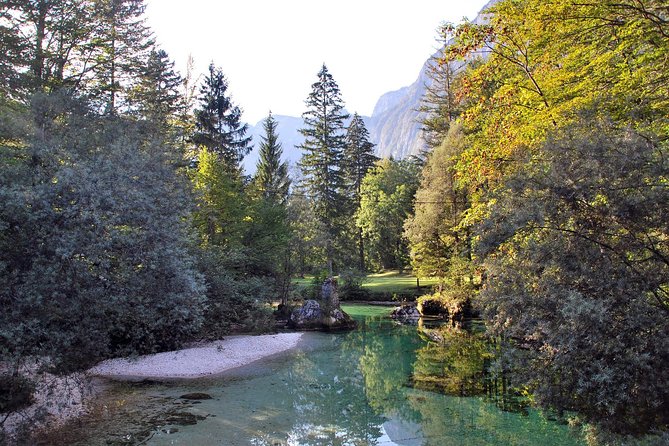 Magic of Alps, Triglav NP with Lake Bohinj & Waterfall Savica, HD Trip from Ljub - Authentic Insights from Past Travelers  