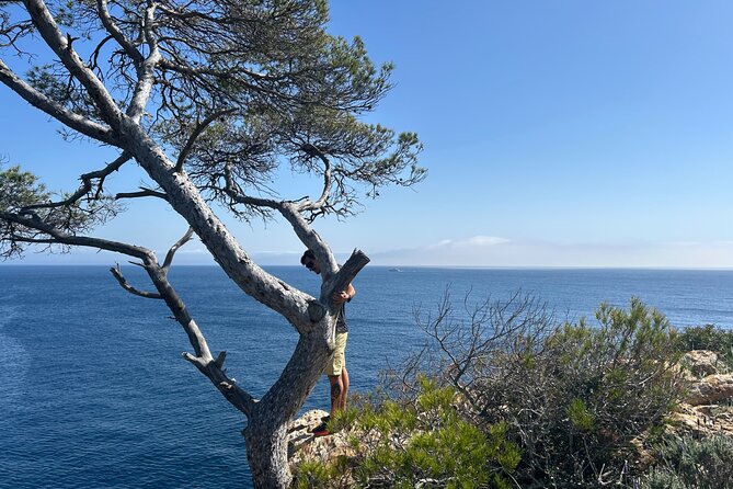 Mallorca Secret Coves Land Rover Private Tour - What to Keep in Mind