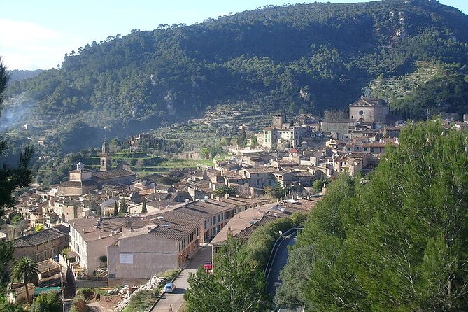 Mallorca Shore Excursion Highlights Private Tour including Valldemossa - Pricing and Value