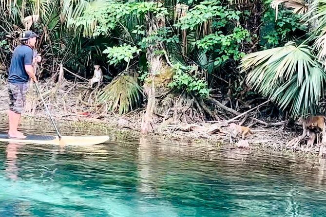 Manatees, Monkeys and Florida Natural Spring Adventure Tour - FAQ