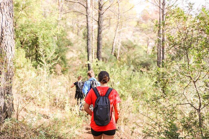 Marbella Guided Hiking and Foraging Adventure - What You Can Expect