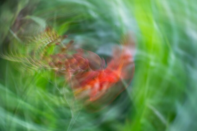 Mindful Photo Walk at Princess Pavilion & Gyllyngdune Gardens - Why This Tour Is Perfect for Certain Travelers