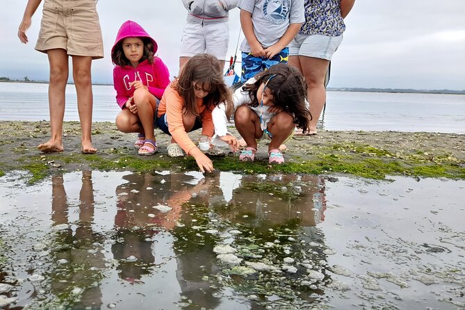 Moliceiro boat trip, with experience in bivalves harvesting - What Travelers Say