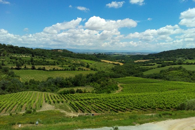 Montalcino and Pienza Tuscany Wine&Cheese ShoreExcursion from Civitavecchia Port - FAQ