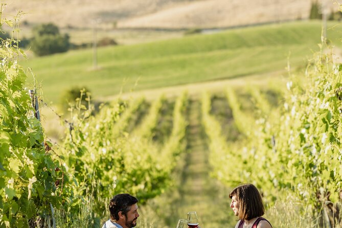 Montalcino: exclusive picnic in the vineyard with wine basket - FAQ