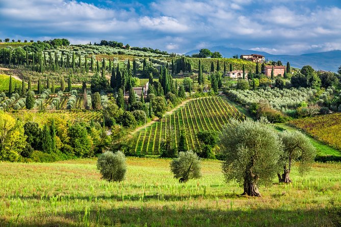 Montecarlo and Wine Tasting from Lucca Private Tour - The Winery Experience: Savoring the Flavors of Tuscany