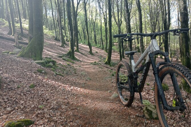 Mountain Bike Small Group Tour in San Sebastian - Practical Tips for Booking