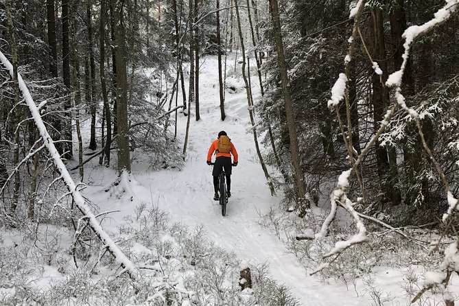 Mountain Biking Small-Group in Stockholm Forests for Beginners - Group Size and Atmosphere
