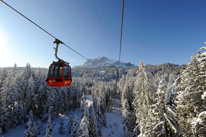 Mt. Pilatus Gondola and Aerial Cableway Ticket from Kriens - Additional Details and Tips