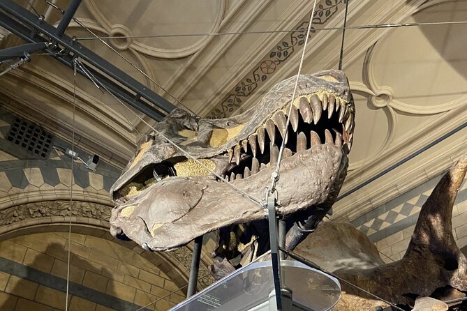 Natural History Museum Self-guided Tour for Kids in English - Authentic Experiences and Reviewer Insights