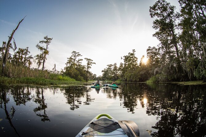New Orleans Bayou Adventure: Kayak Rental - Equipment and Safety